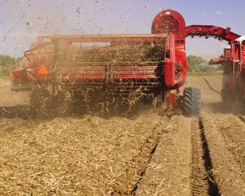 SpudHarvest